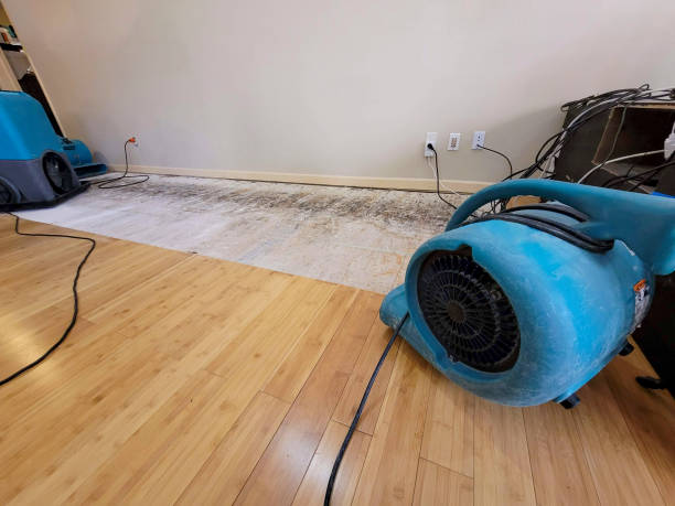 Professional Flood Damage Cleanup technician working in Scotts, MI